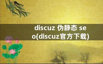 discuz 伪静态 seo(discuz官方下载)
